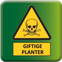 Giftige planter & husdyr